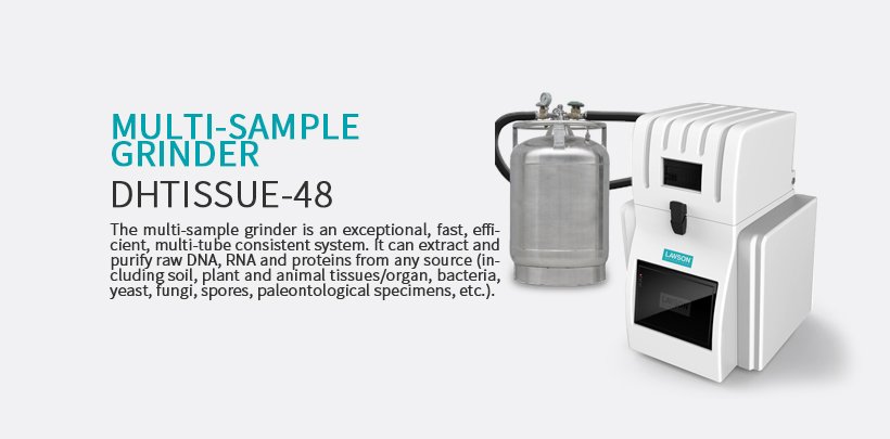 multi-sample grinder DHFSTPRP-24IN